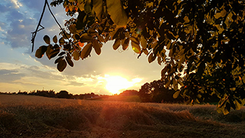 Blick in die Umgebung mit Sonnenuntergang